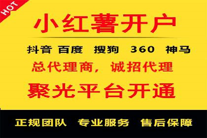 百度广告投放策略：成功案例解析